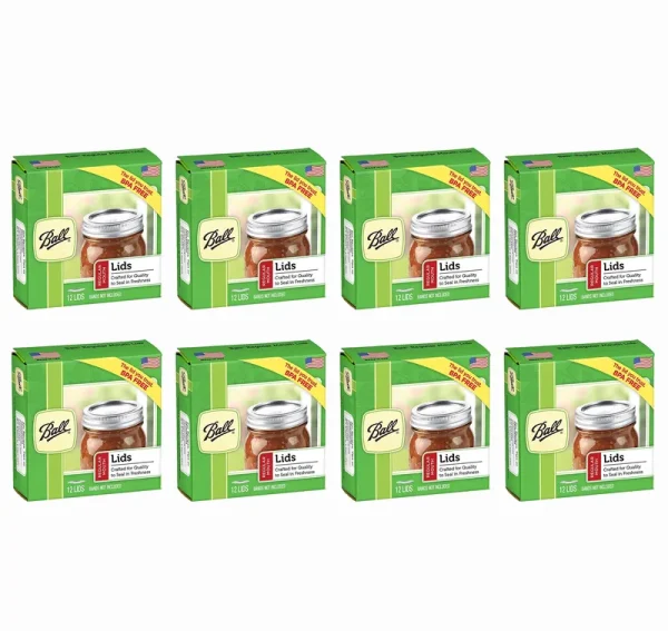 Ball Mouth Mason Jar Canning Lids 8 Dozen, Silver