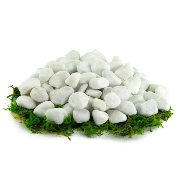 Porcelain White Pebbles | Garden & Potted Plants | 20 lbs, 3/8 inch-5/8 inch, Size: 3/8 inch - 5/8 inch