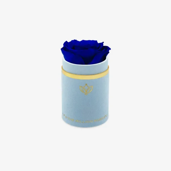 The Million Roses Single Rose in Light Blue Suede Box - Royal Blue