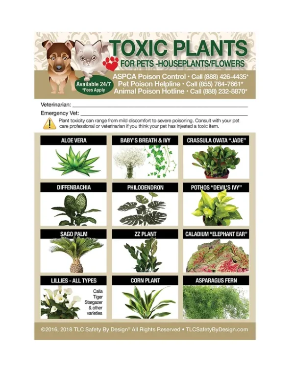 TLC Safety by Design Enhanced Toxic Plants Flowers Trademarked Poison for Pets Dogs Cats Emergency Home Alone 5�� x 7�� Veterinarian Approved
