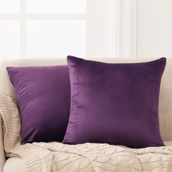 Deconovo Decorative Velvet Throw Pillow Covers for Sofa - 20x20 in, 2 Pcs, Eggplant Purple