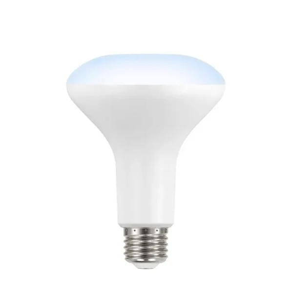 Ecosmart 65-Watt Equivalent BR30 Dimmable LED Light Bulb Daylight (6-pack)