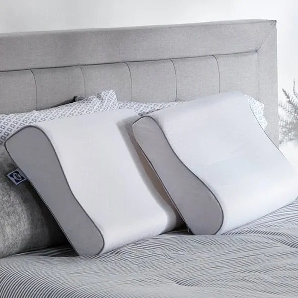 Sealy Essentials Contour Curve Memory Foam Pillow