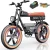 Q20-20inch-PEAK 1500W-48V 20AH