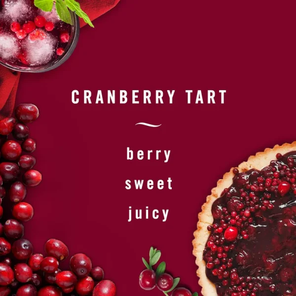 2 Pack Febreze Air Cranberry Tart Air Freshener 8.8oz.