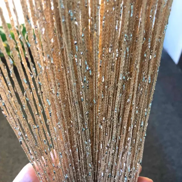 HYSENM Vagasi 2 Pack Glitter String Curtains 39x79 inch Fringe Panels Room Divider Fly Screen Home dcor Door Windows Wedding Party Hotel Living Room