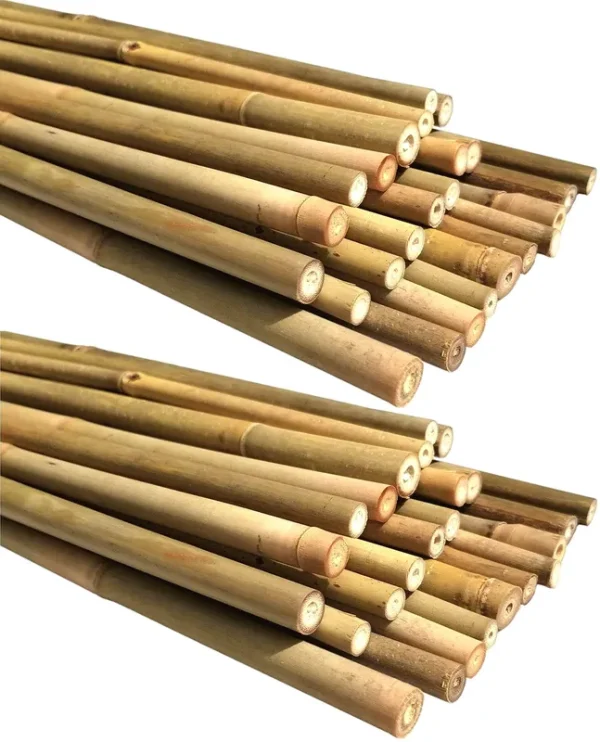 DLH Western Natural Bamboo Poles, Eco-Friendly Plant Support Garden Stakes 4ft Long, Diame