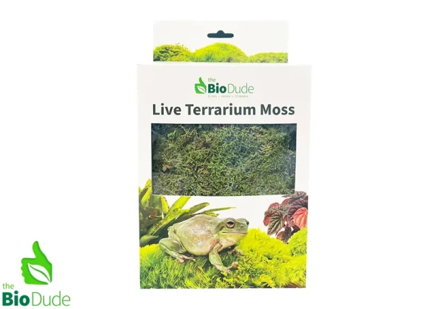 BioDude Live Terrarium Moss - Natural Pillow Moss