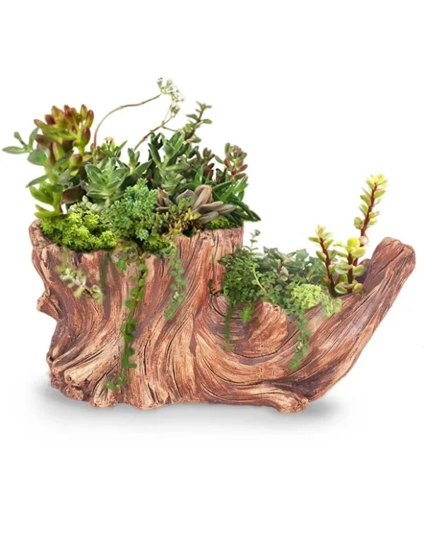 Dahlia Driftwood Stump Log Concrete Planter/Succulent Pot/Plant Pot, 8.4L x 4.5W