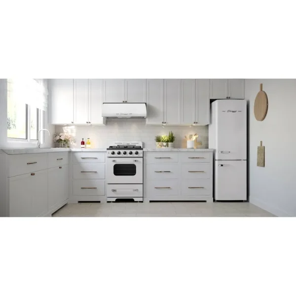 Unique Classic Retro 22" Bottom Freezer Energy Star 7 Cu. ft. Refrigerator Finish: White