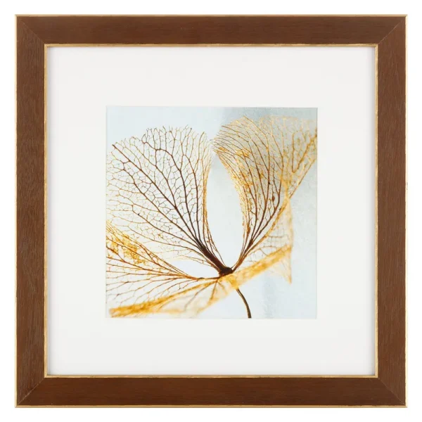 Studio Decor 8" Gallery Walnut & Gold Trim Frame with Mat - Each