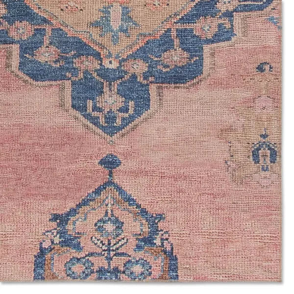 Machine Washable Pink/Blue Rug Birch Lane Rug Size: Rectangle 4' x 6'